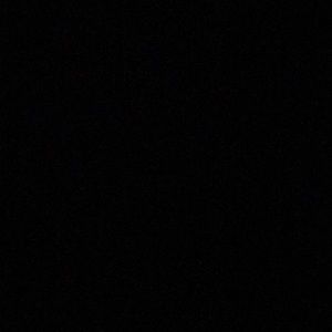 Meet your Posher, Gloria